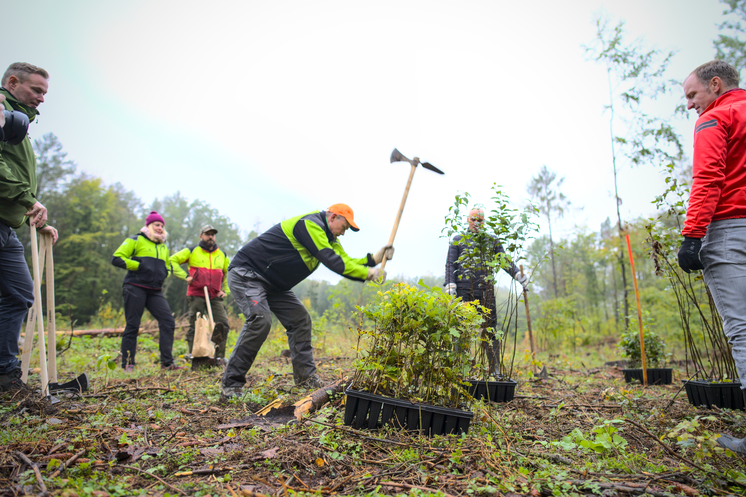 Stadtradeln Erfurt 2020 - tree planting campaign of 275 trees